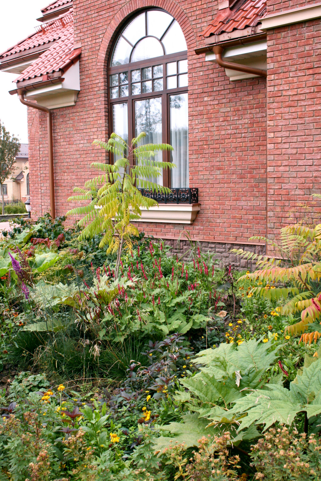 Бельгийка 01