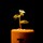 Eryn Falas zone8