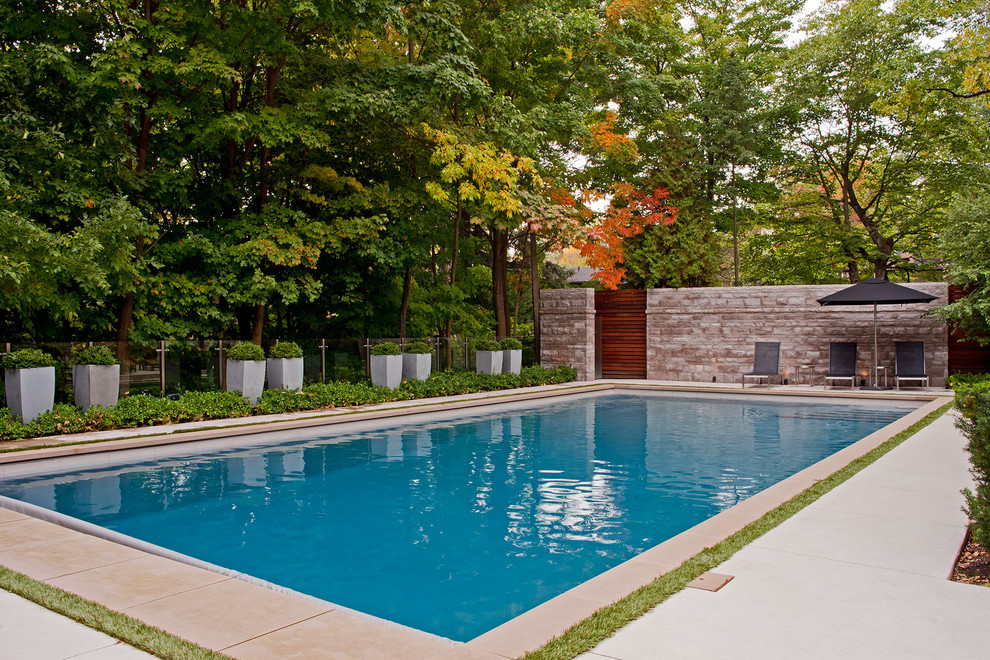 This is an example of a contemporary rectangular pool in Toronto.