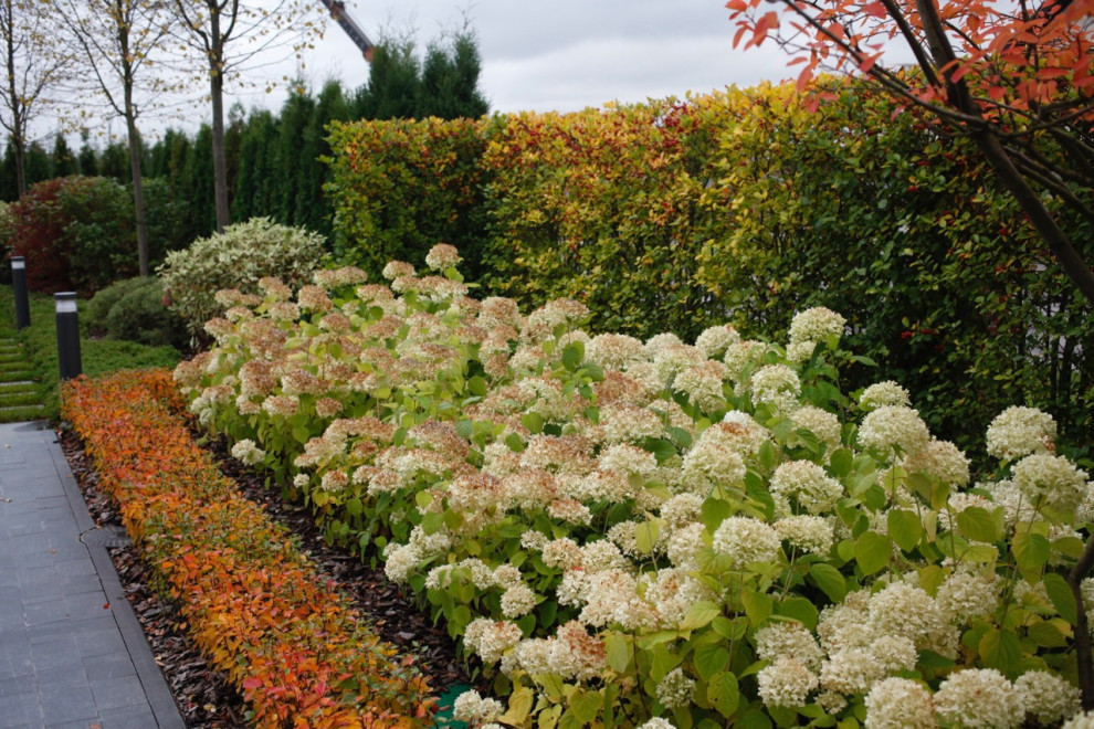 Тихая роскошь