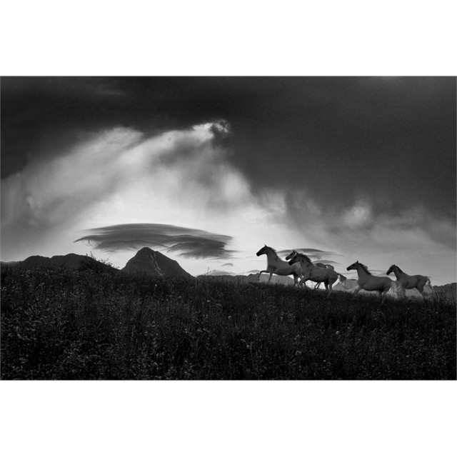 Giant Art 72x48 Before the storm Fine Art Giant Canvas Print in White