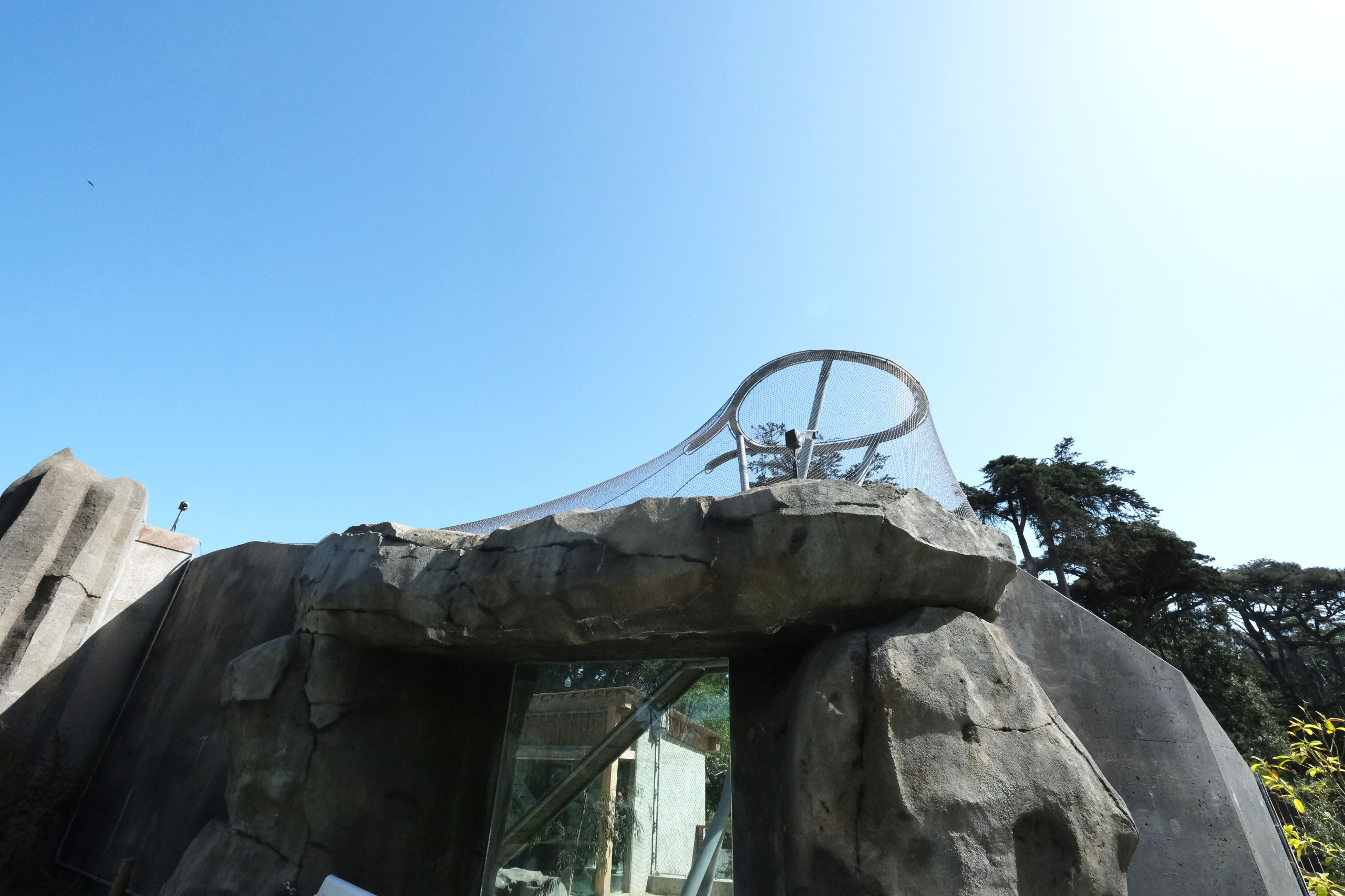 Snow Leopard Habitat