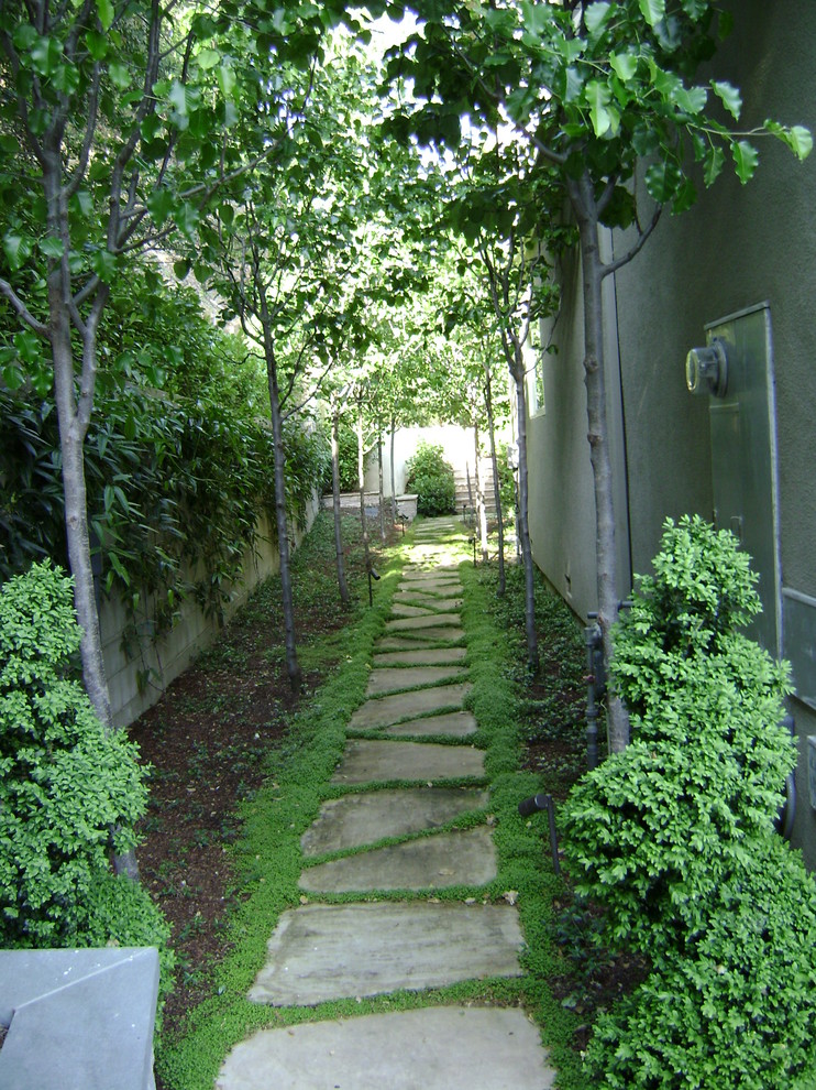 This is an example of a traditional side yard garden in San Francisco.