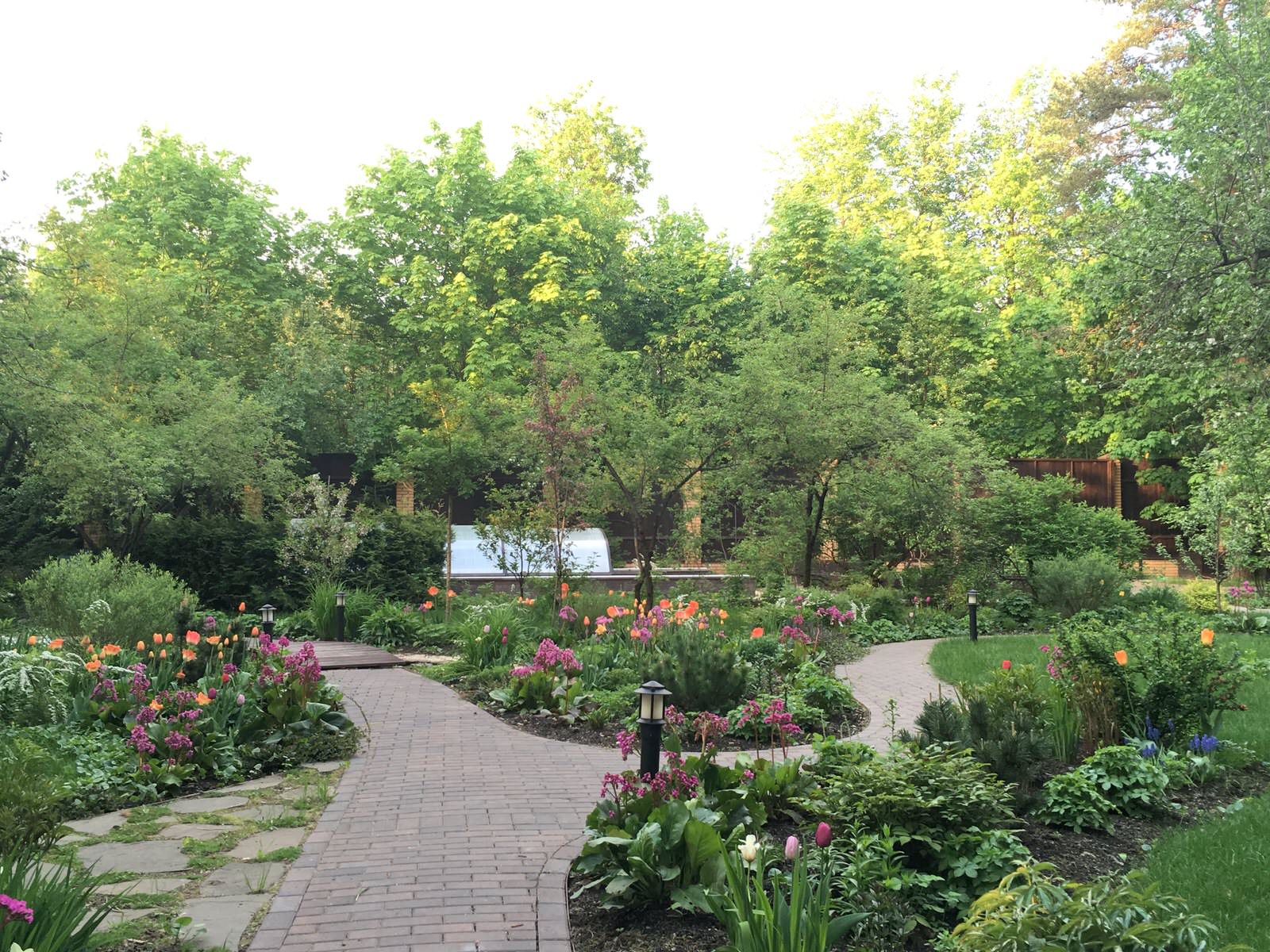 Белкин сад. Сад в стародачном поселке. Весна 2019