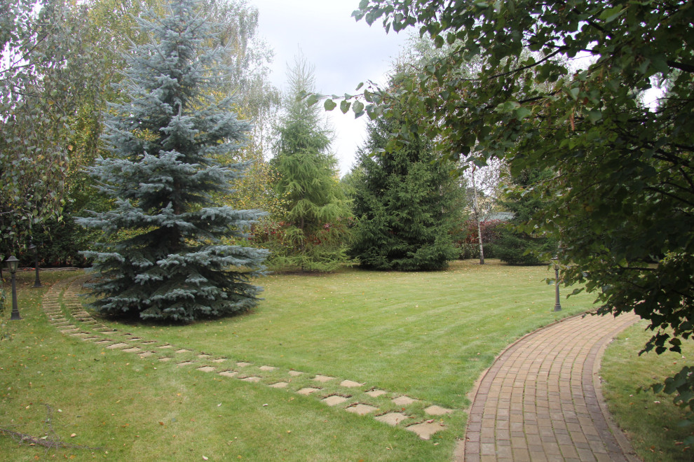 Проект в Новоспасское