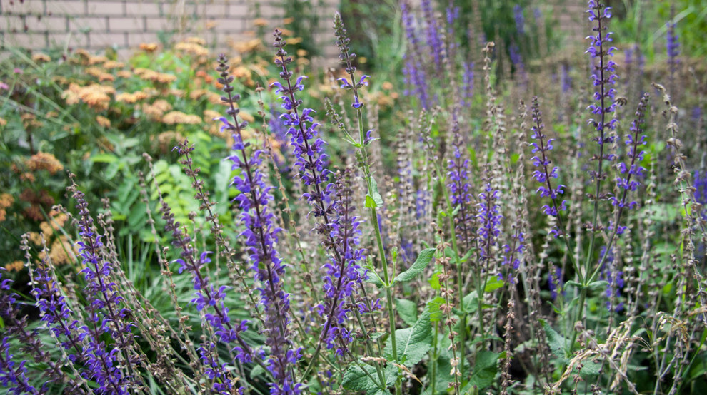 Оттенки синего