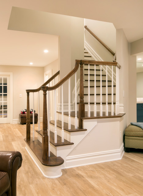 Interior Renovation: Baths and Basement trendy-trappe