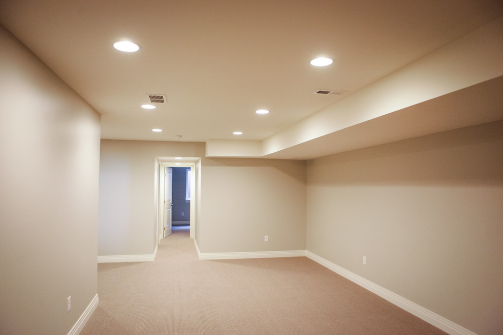 Photo of a transitional basement in Denver.