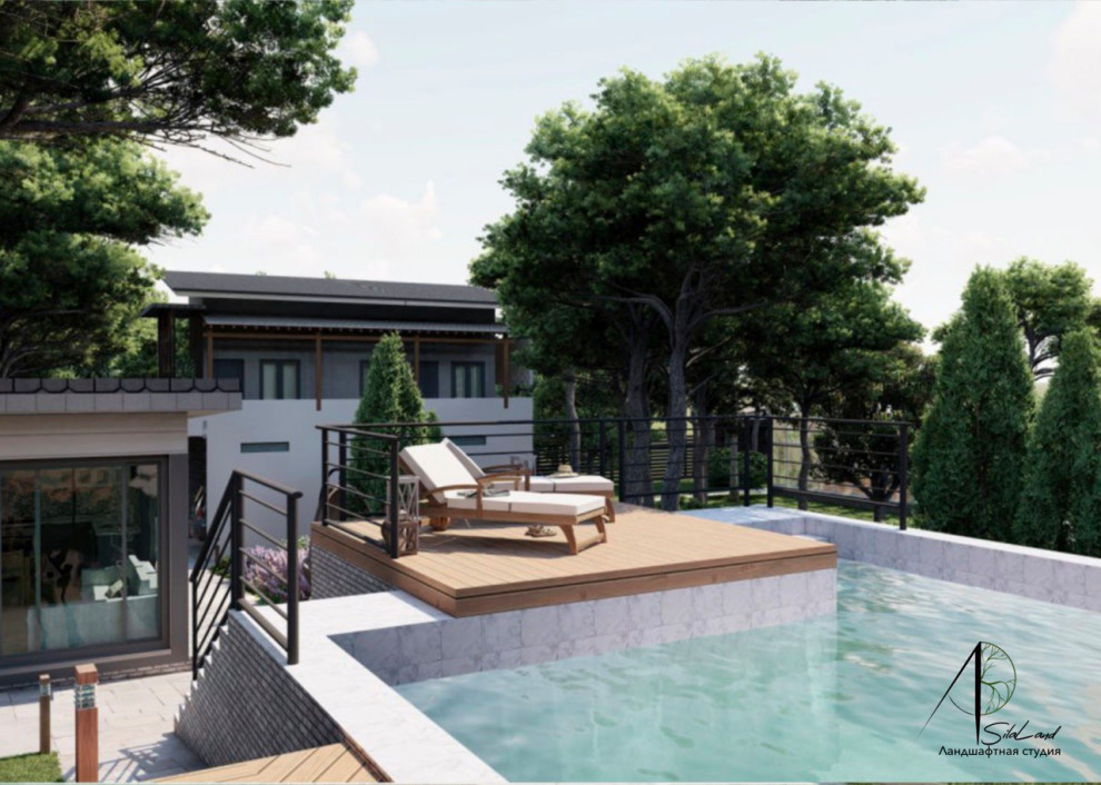 Солнце в кронах