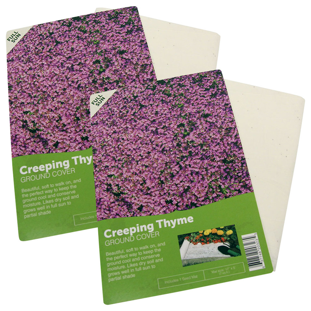 Creeping Thyme Flower Mat, 2Pack Contemporary Bulbs And Seeds by