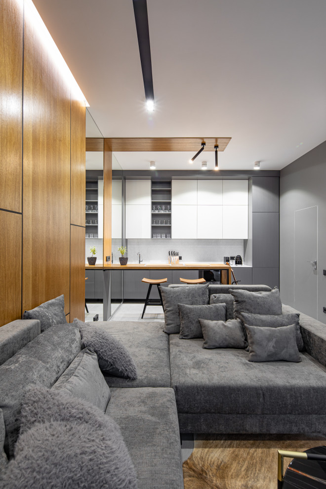 Idee per un piccolo soggiorno minimal chiuso con pareti grigie, pavimento in gres porcellanato, TV a parete, pavimento grigio e pannellatura