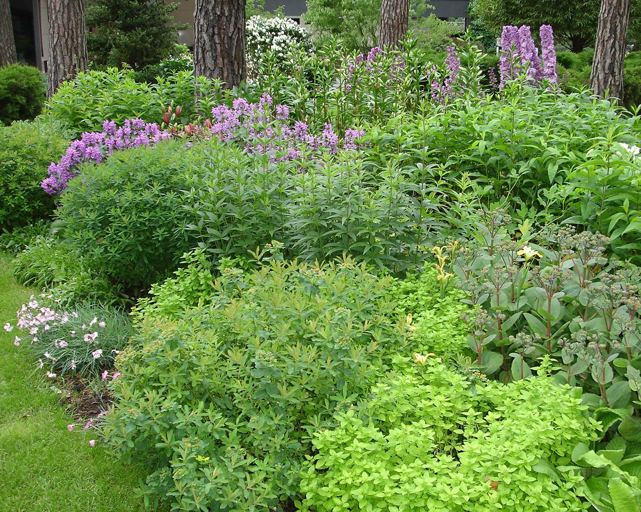 Ландшафтный сад в Горках 2