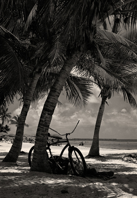 Relaxing at Higgs Beach Florida Keys  Fine Art Black and White Photography, 16x2