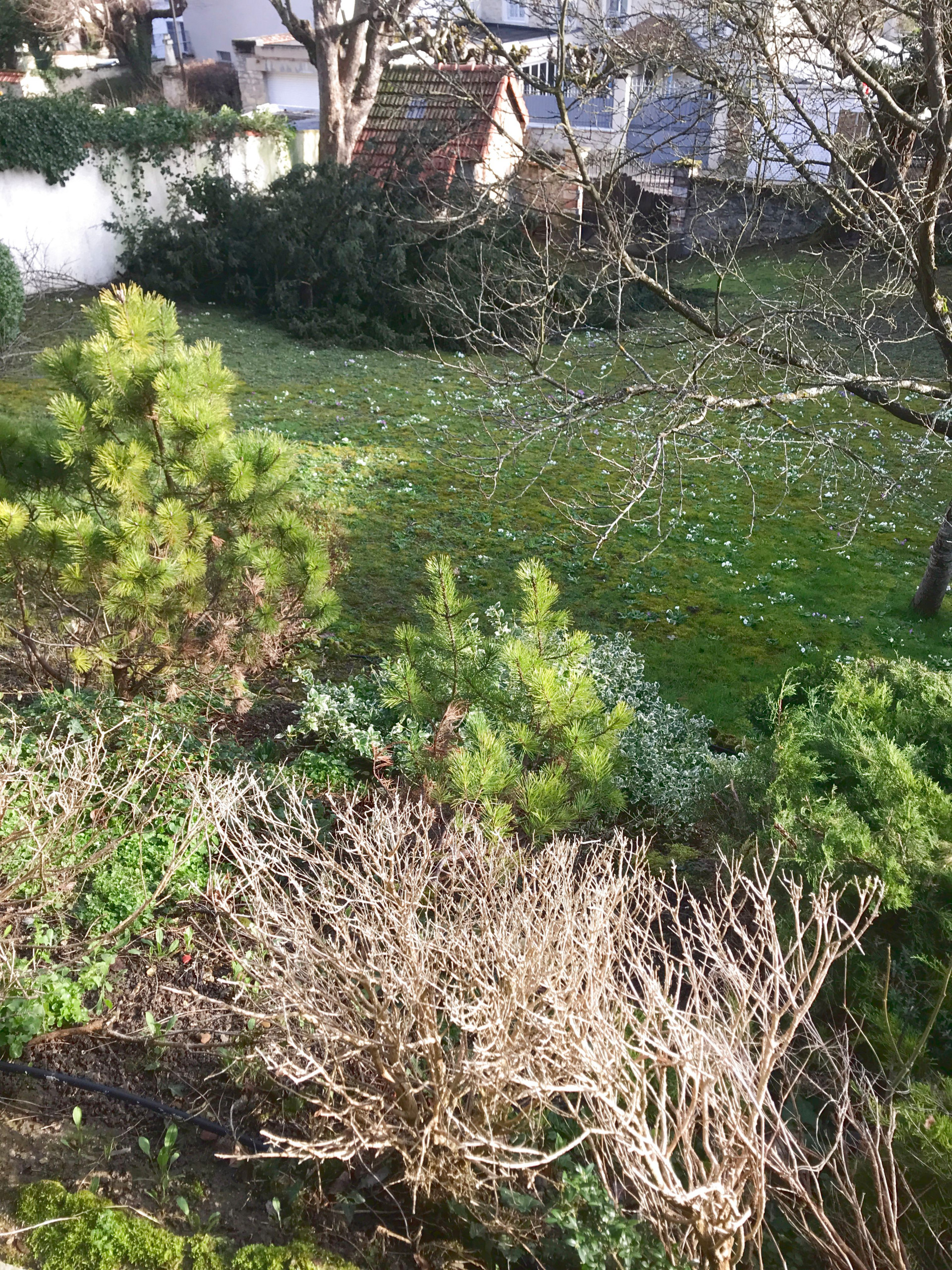 Jardin contemporain en pente