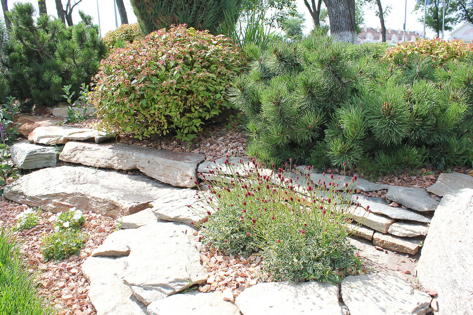 Горка на Потапова