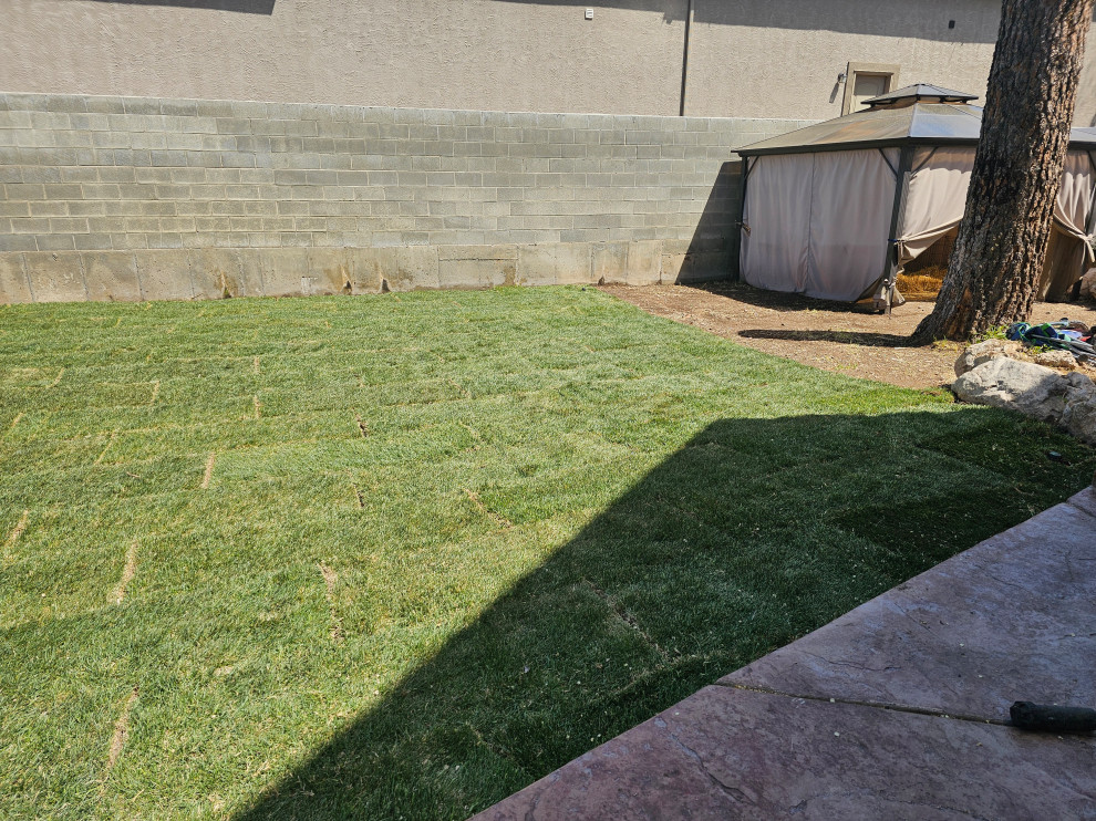 Backyard Transformation