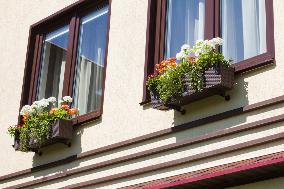 Флора Европа