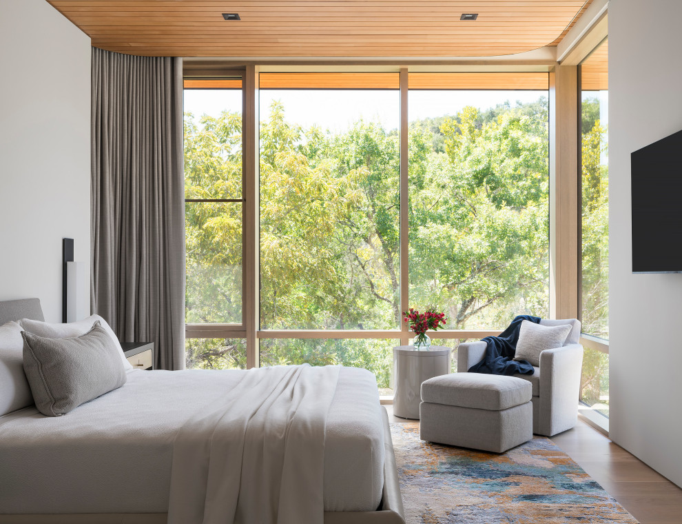 Bedroom - modern bedroom idea in Austin