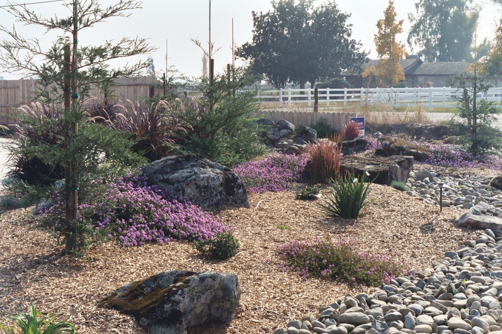 Foto di un grande giardino xeriscape classico esposto in pieno sole in cortile con sassi e rocce e pacciame