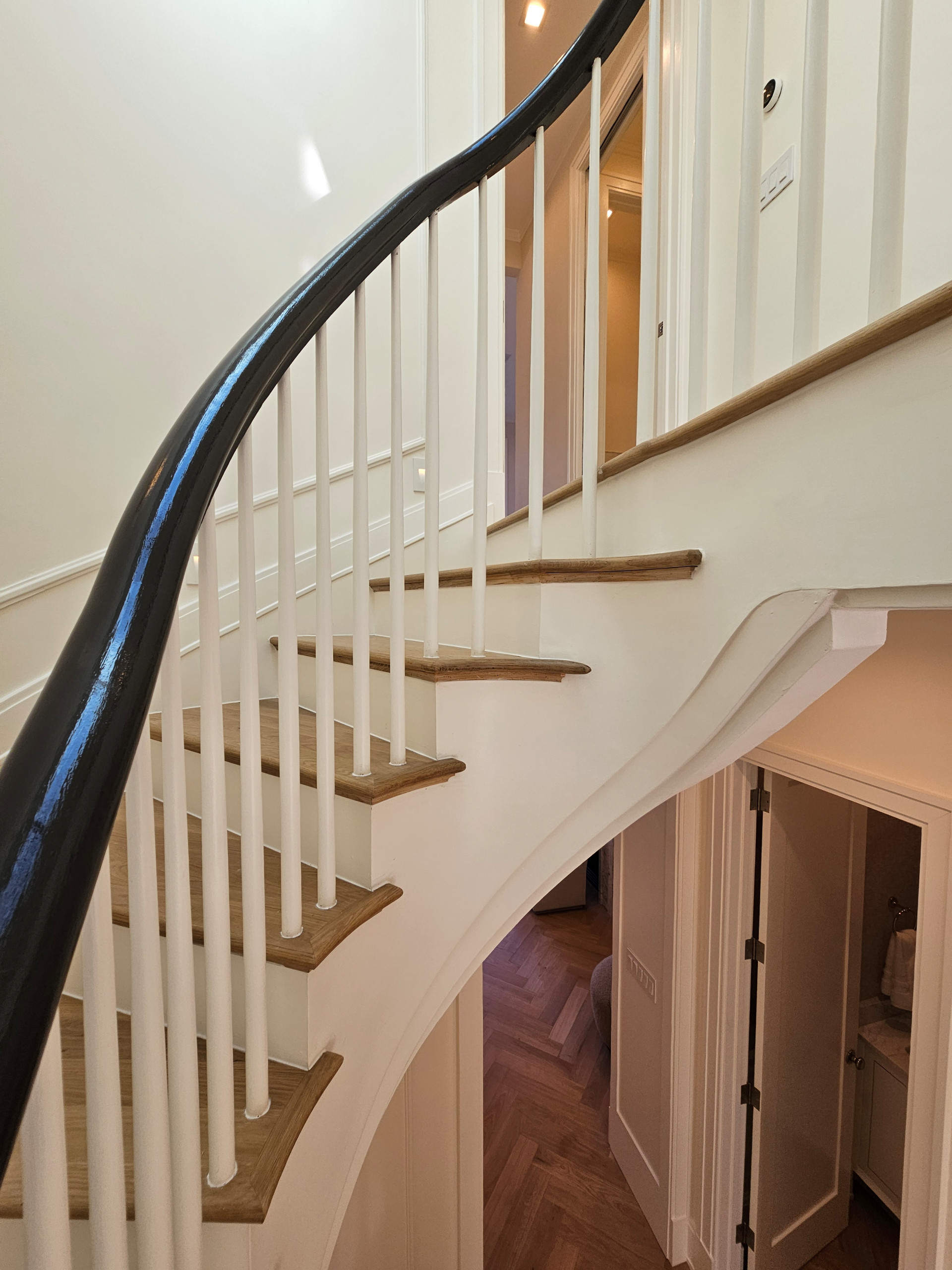 131_Stunning Elliptical in Historic DC Home, Washington DC 20007