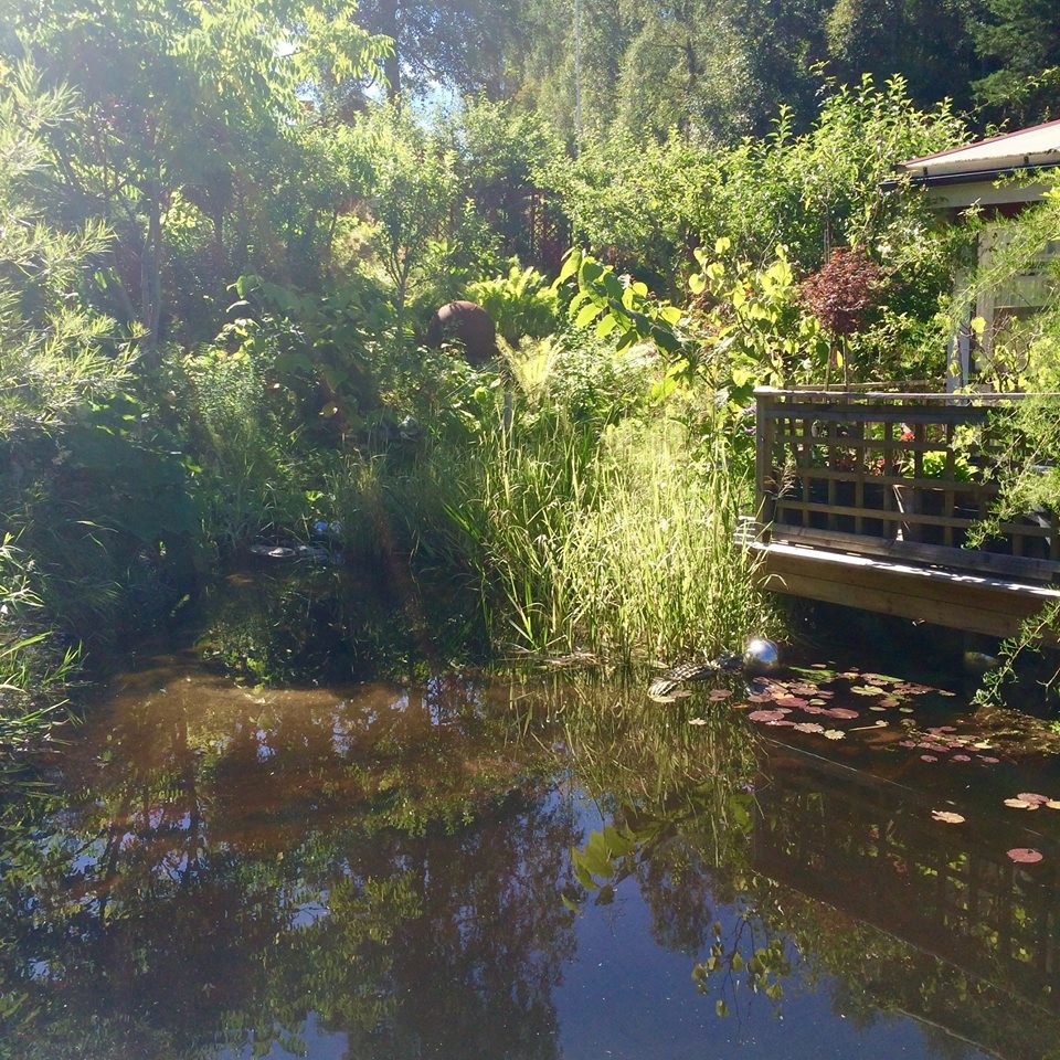 Inspiration för en orientalisk trädgård