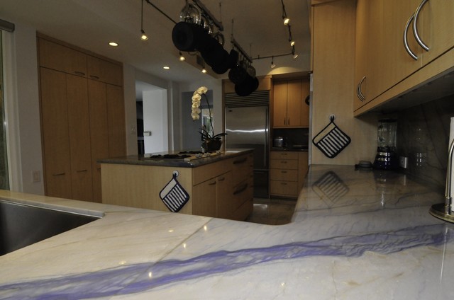 Main Kitchen modern-kueche