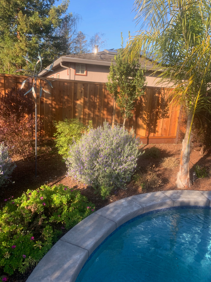 Bay Area Pool Remodel