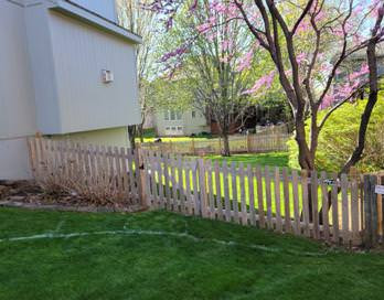 Before Hill Side Yard Gate