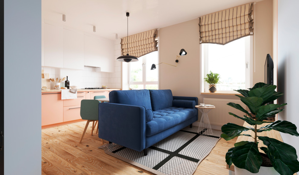 Проект с лососевой кухней