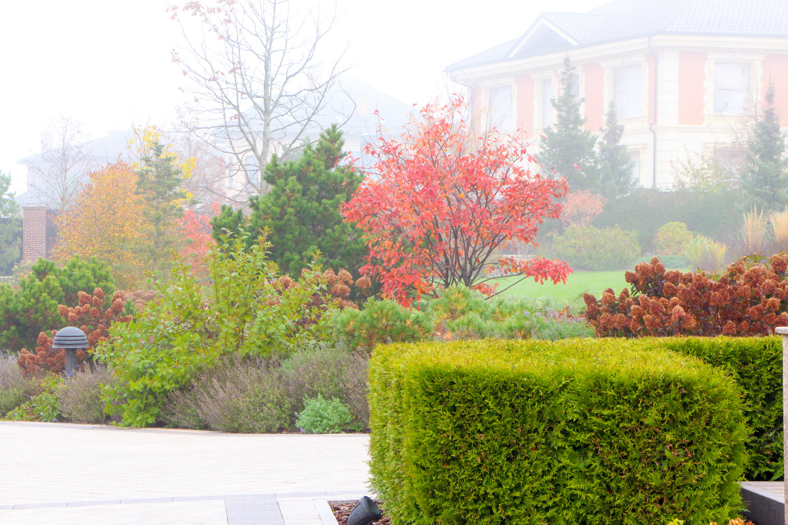 Горки-10, 2017-2020 г.г.