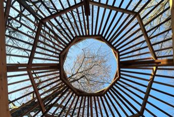 Organic Roots Horticulture Projects
