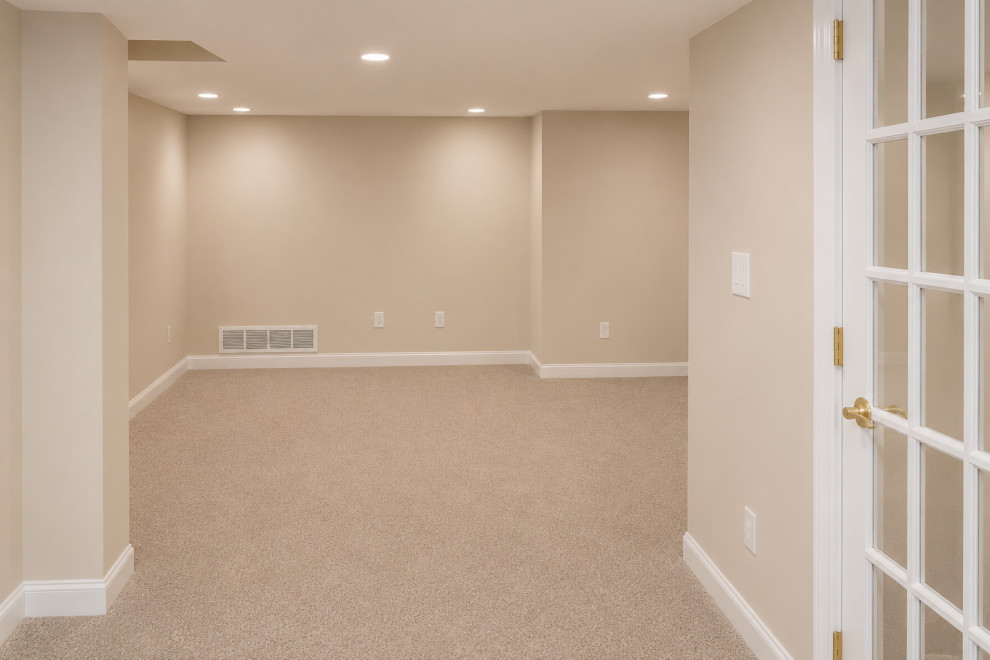 Ann Arbor - Basement Family Space, Guest Room & Egress Window