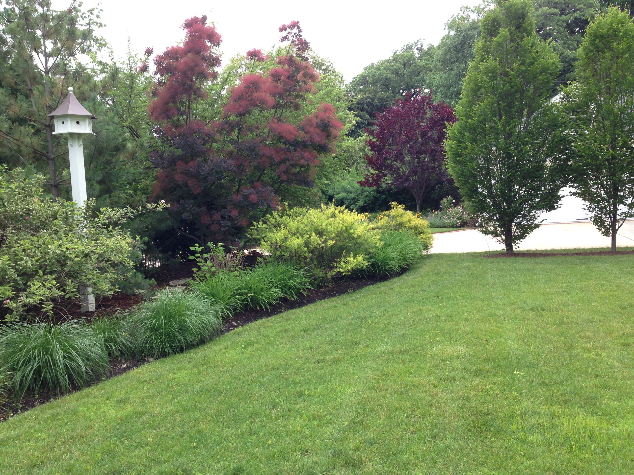 Large suburban front yard berm