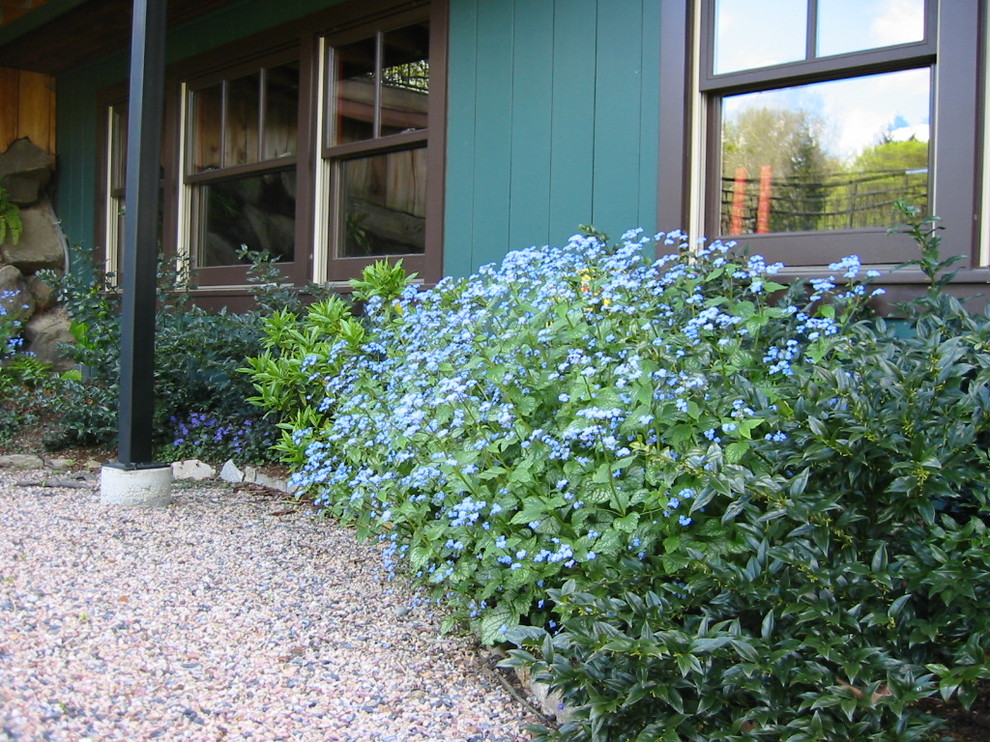 Photo of a rustic landscaping in Seattle.
