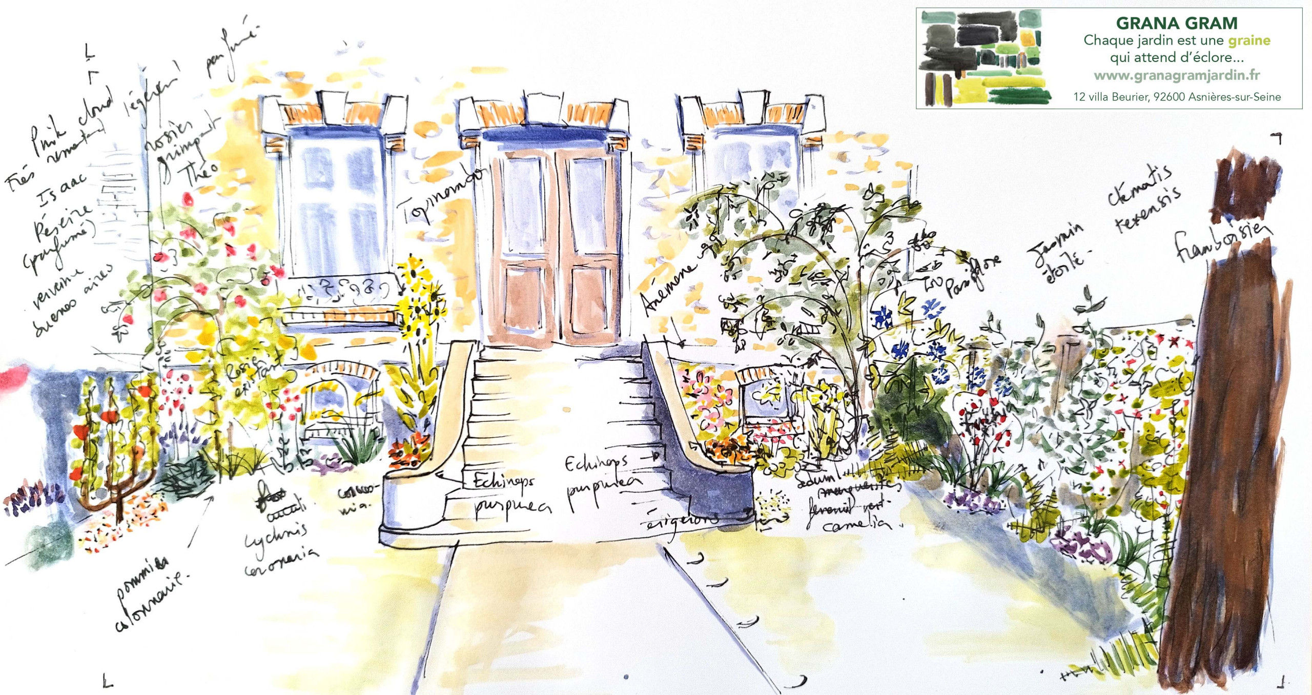 Conception - Jardin de ville de 50 m2