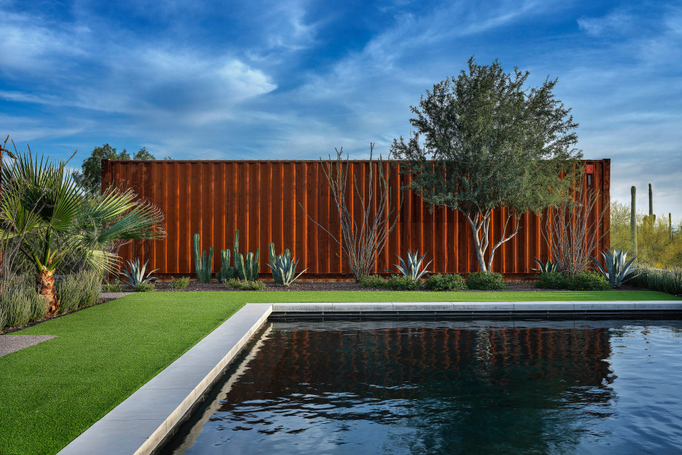 Design ideas for a modern pool in Phoenix.