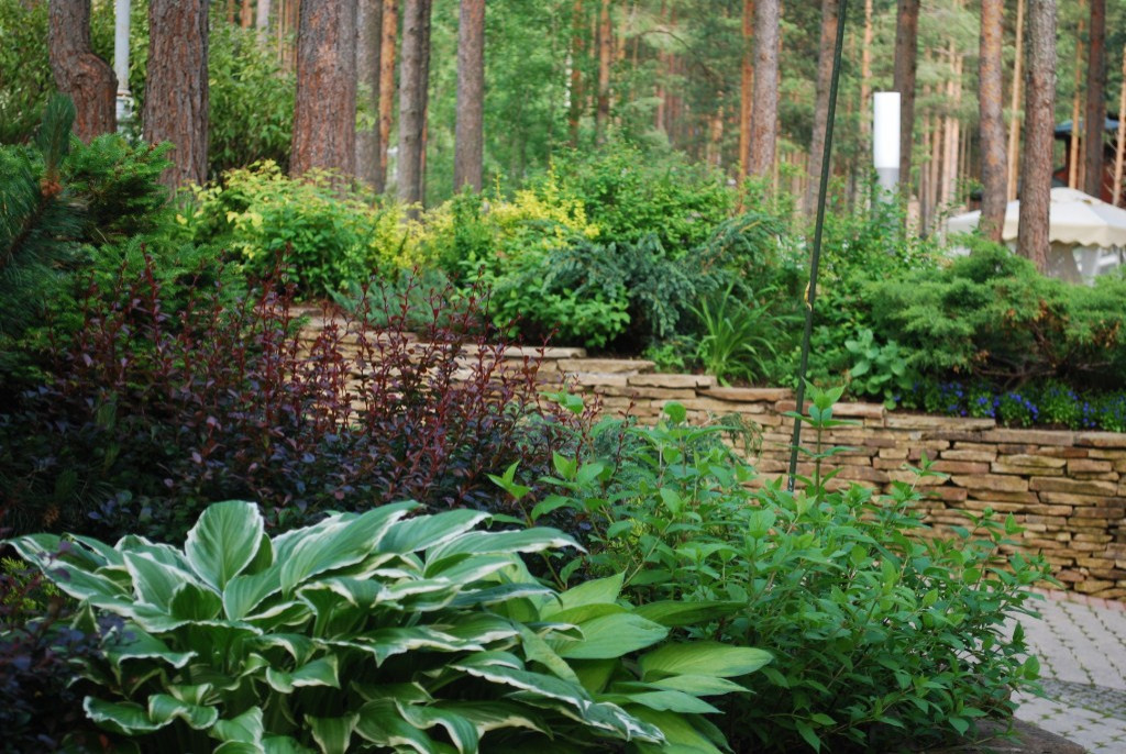 Сады по моим проектам.