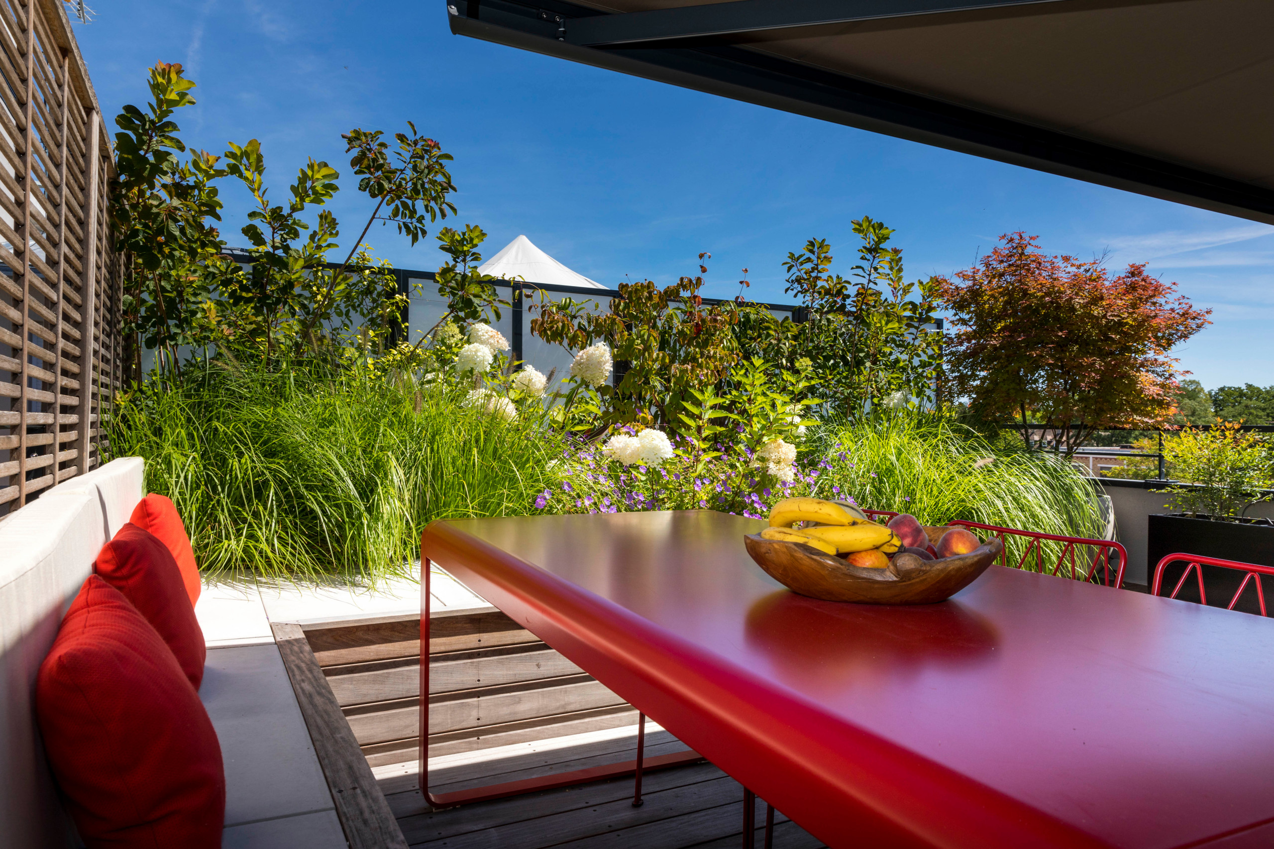 une terrasse foisonnante!