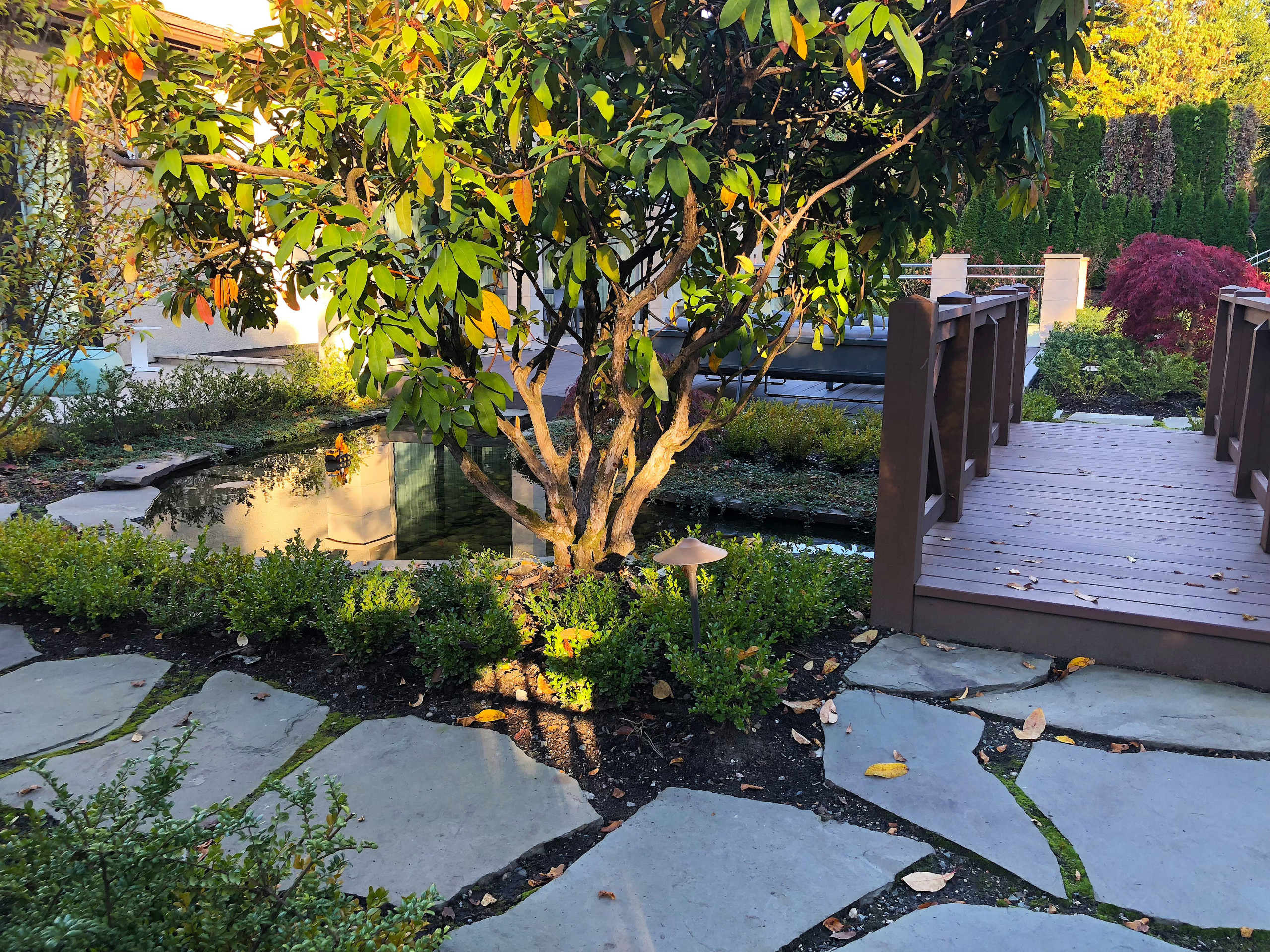 Secret Water Garden in Shaughnessy