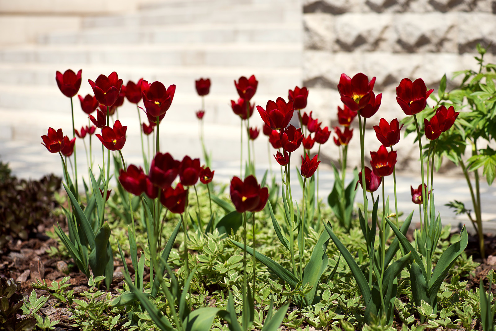 Весенние "Витражи"
