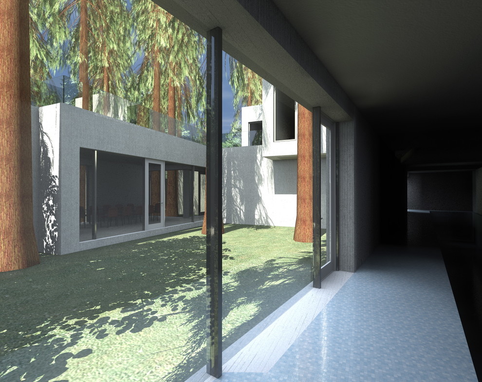 House extension and reconstruction in Skolkovo