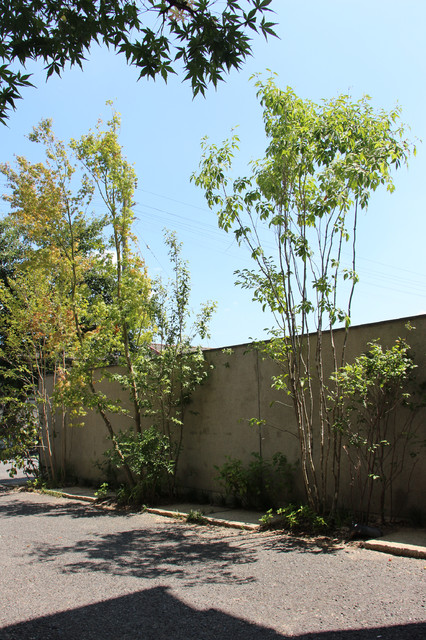 ＃024　木々をくぐって minimalistisch-garten
