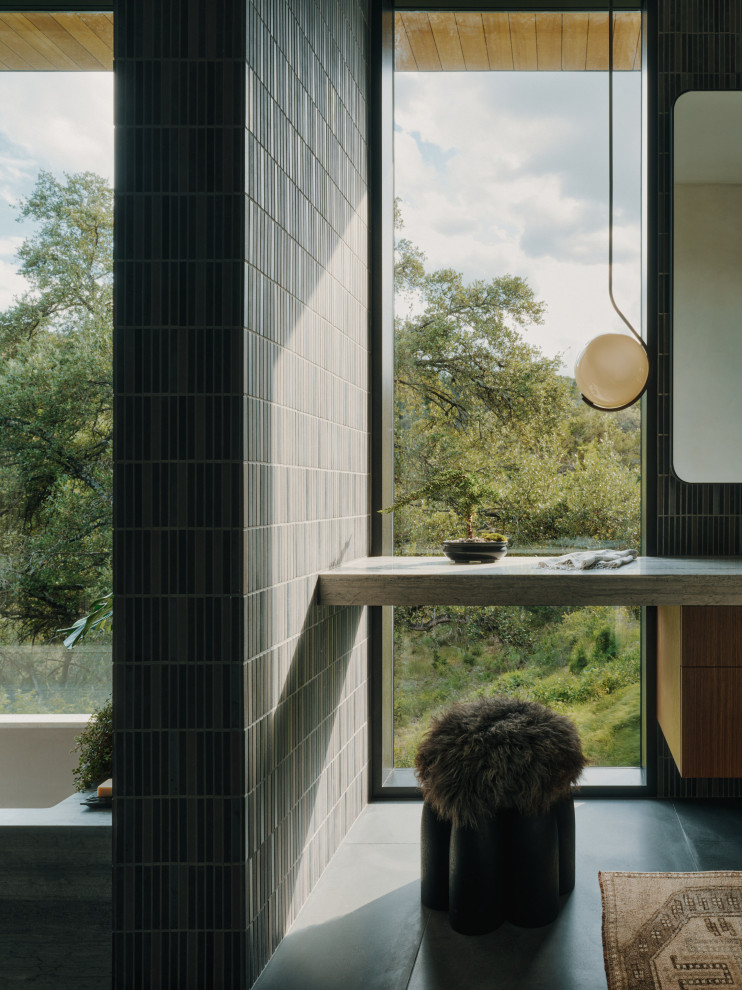 Terrace Mountain - Midcentury - Austin - by Allison Burke Interior ...
