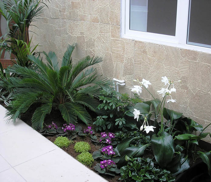 Озеленение интерьера