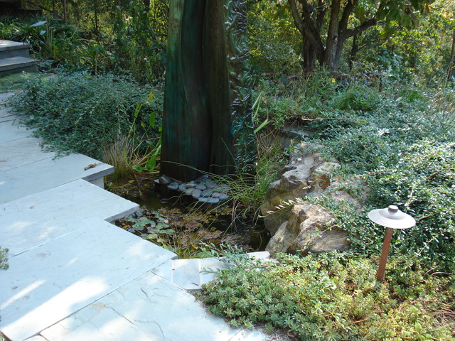 Sculpture Garden & Pool traditional-garden