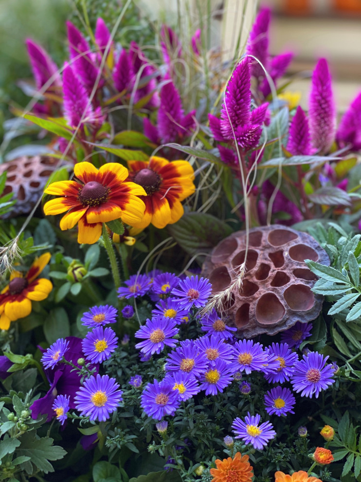 Photo of a landscaping in New York for fall.