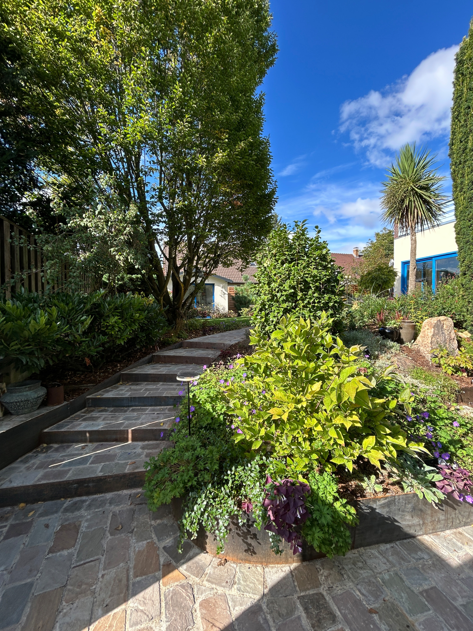 Jardin en Pots : Un Écrin de Nature