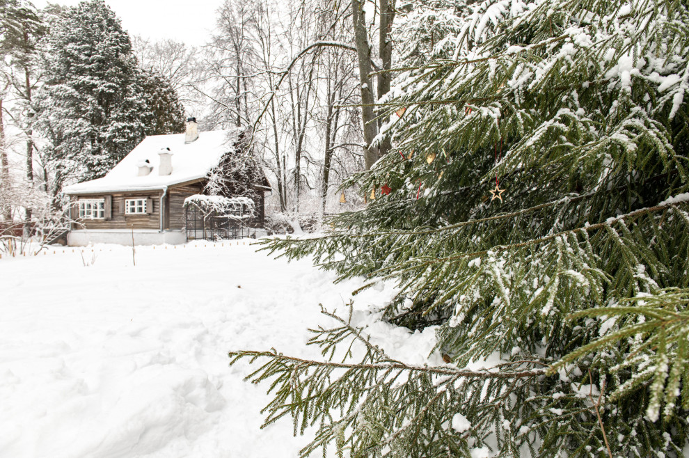 Женя Жданова Таруса, Сад Ракицкого