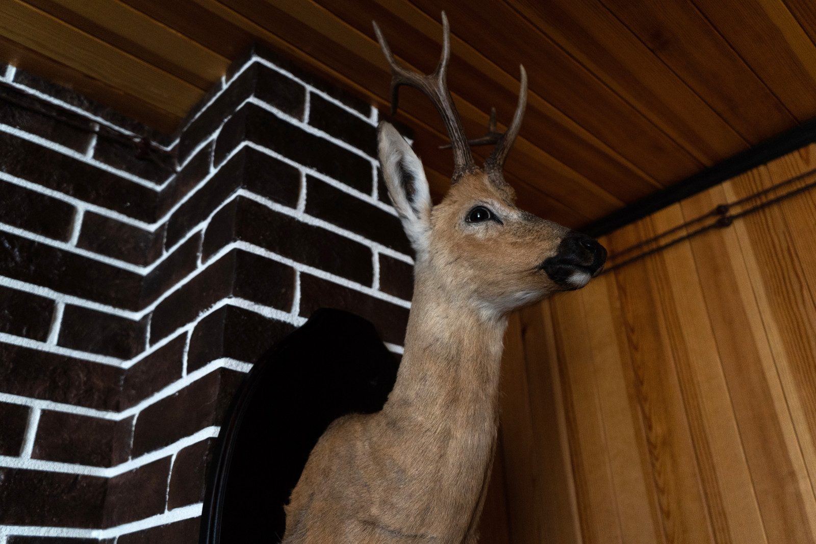 Загородный дом для отдыха