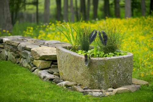 This is an example of a traditional landscaping in Boston.